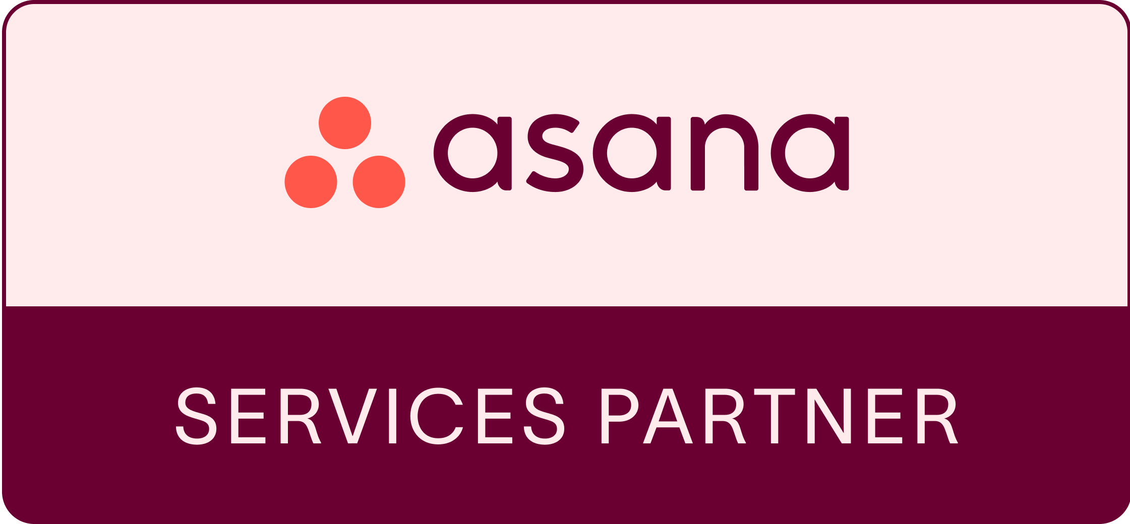 Asana Solutions Partner